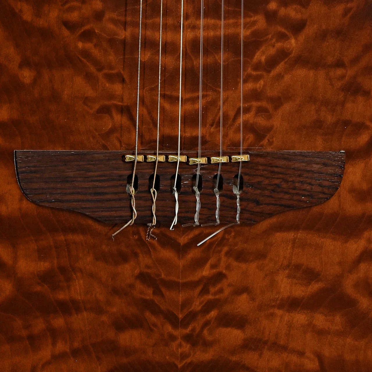 Godin Multiac ACS SA Nylon-String Electric Guitar (c.2006) - Image 5