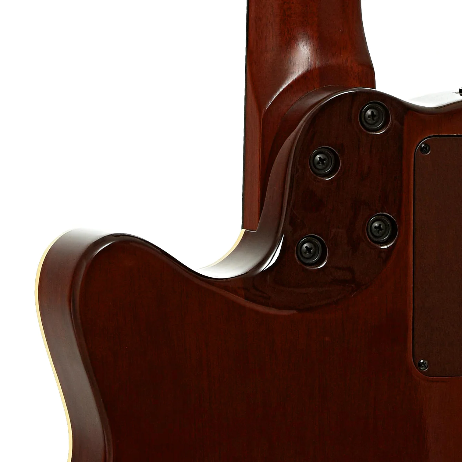 Godin Multiac Nylon Deluxe Acoustic-Electric Guitar (2022) - Image 10