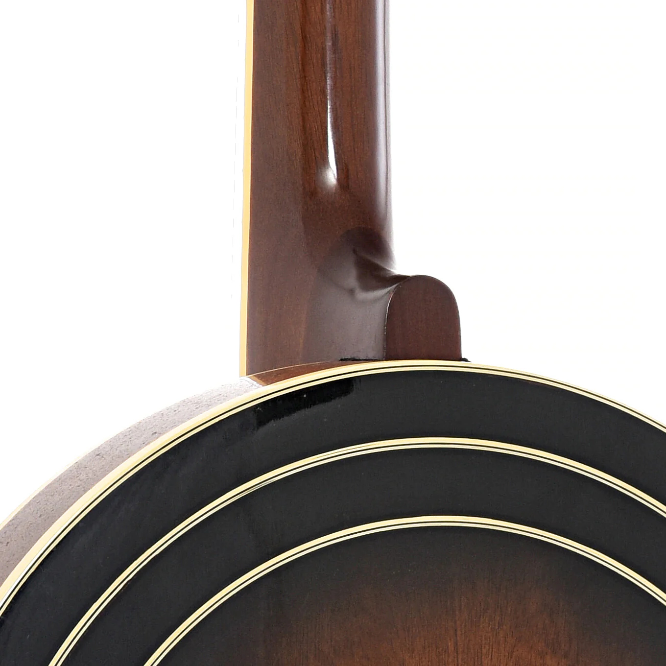 Gold Star G11W Resonator Banjo (1979) - Image 12