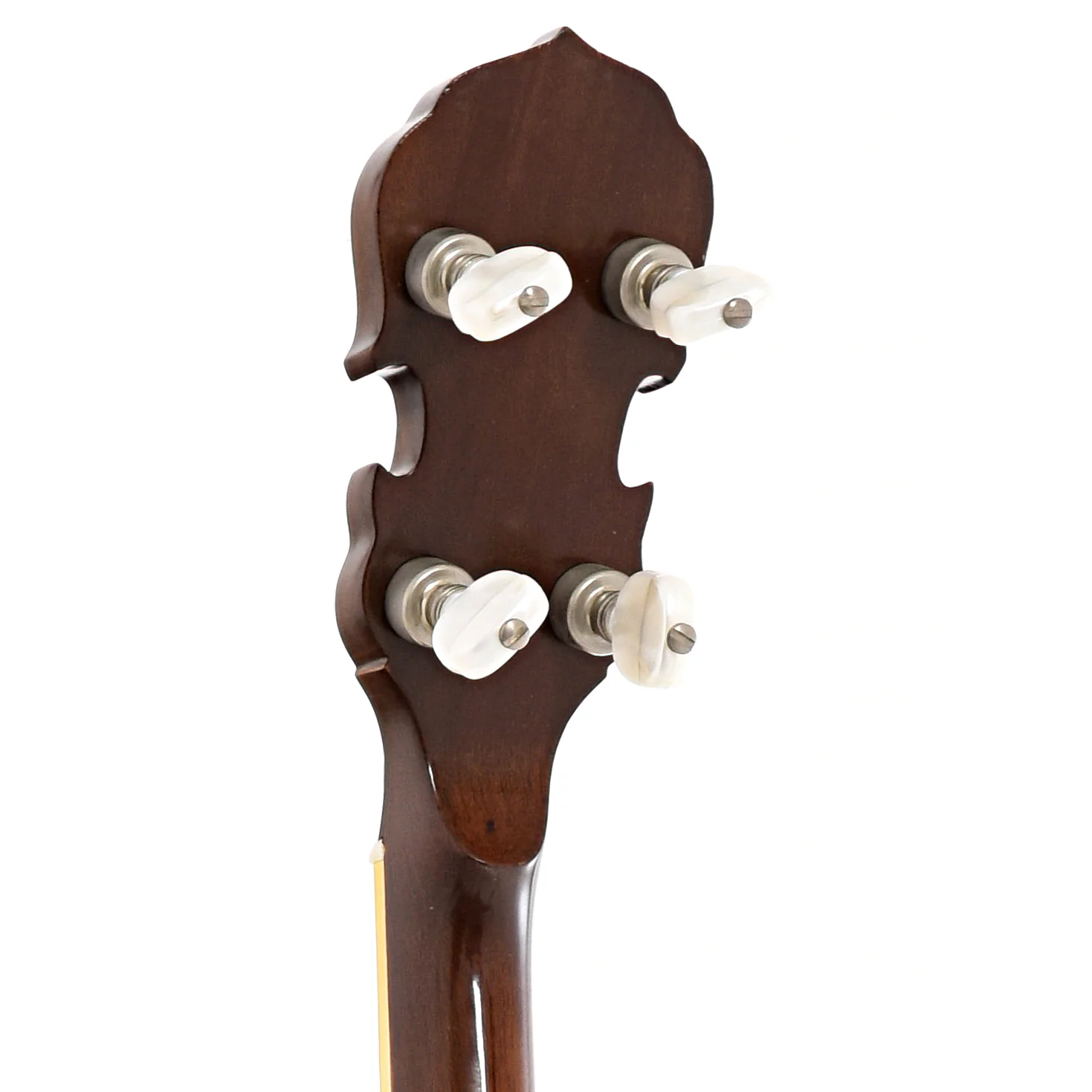Gold Star G11W Resonator Banjo (1979) - Image 9