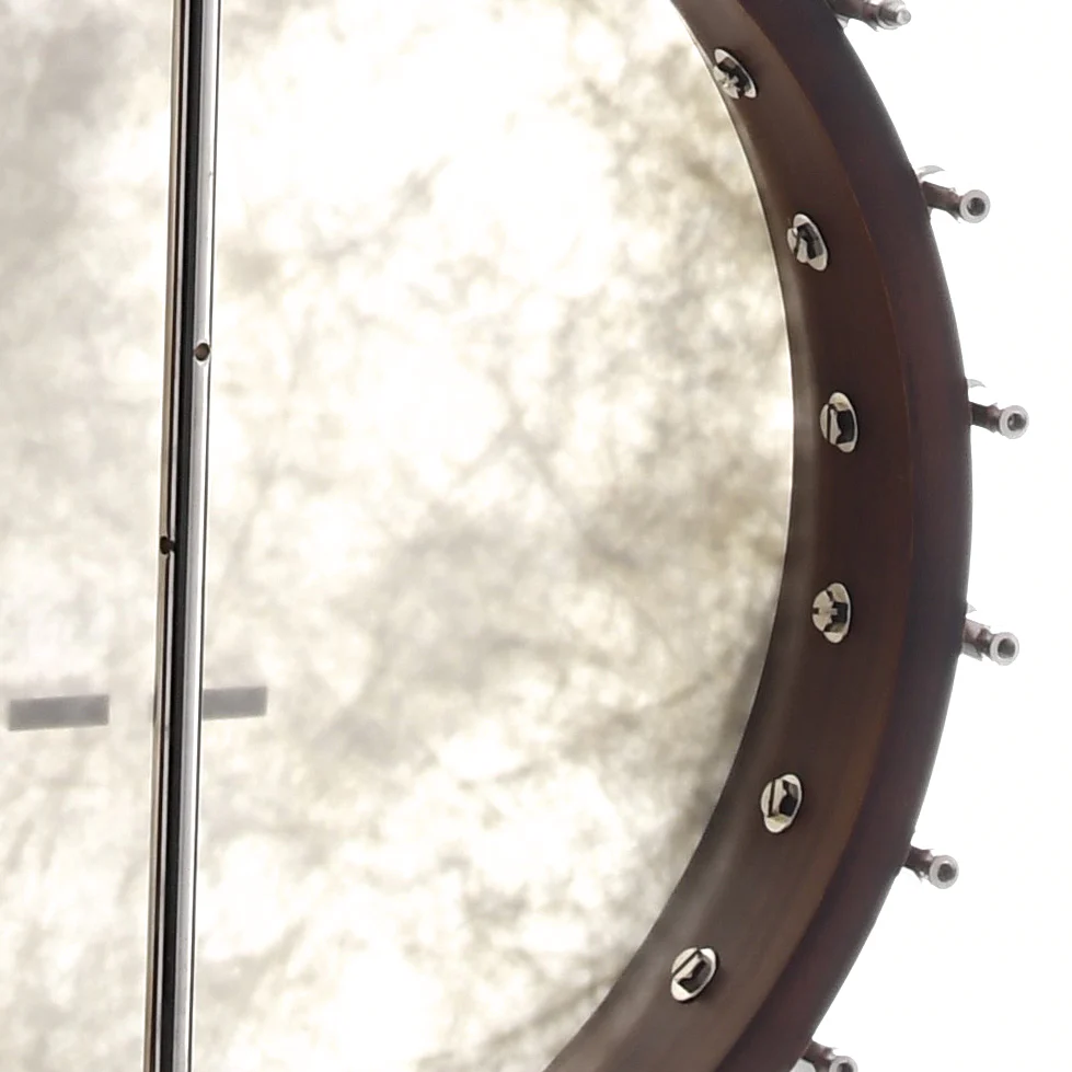 Gold Star GE-1 Prospector Old-Time Banjo - Image 9