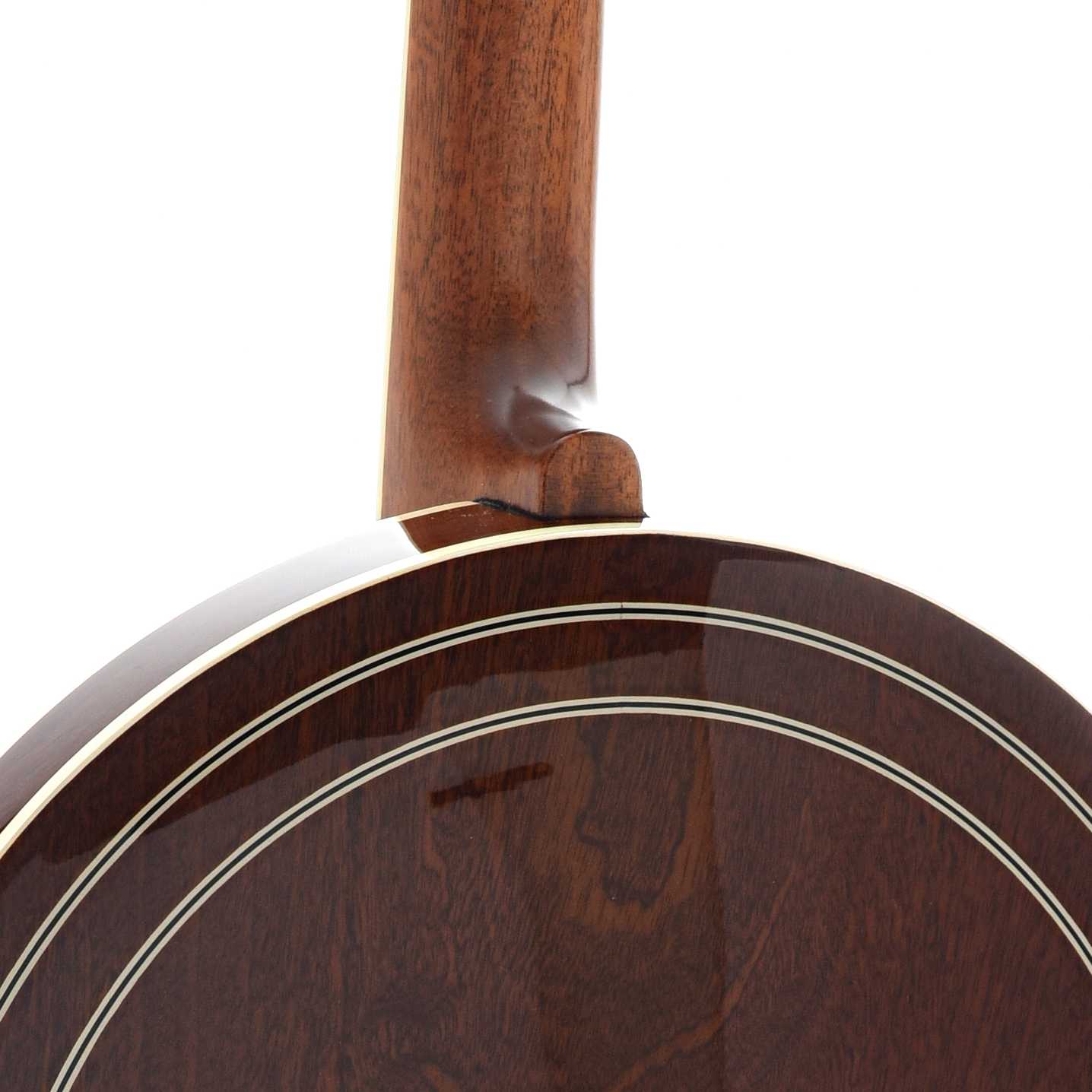 Gold Star GF-100JD "Bluegrass Album" Resonator Banjo & Case - Image 10