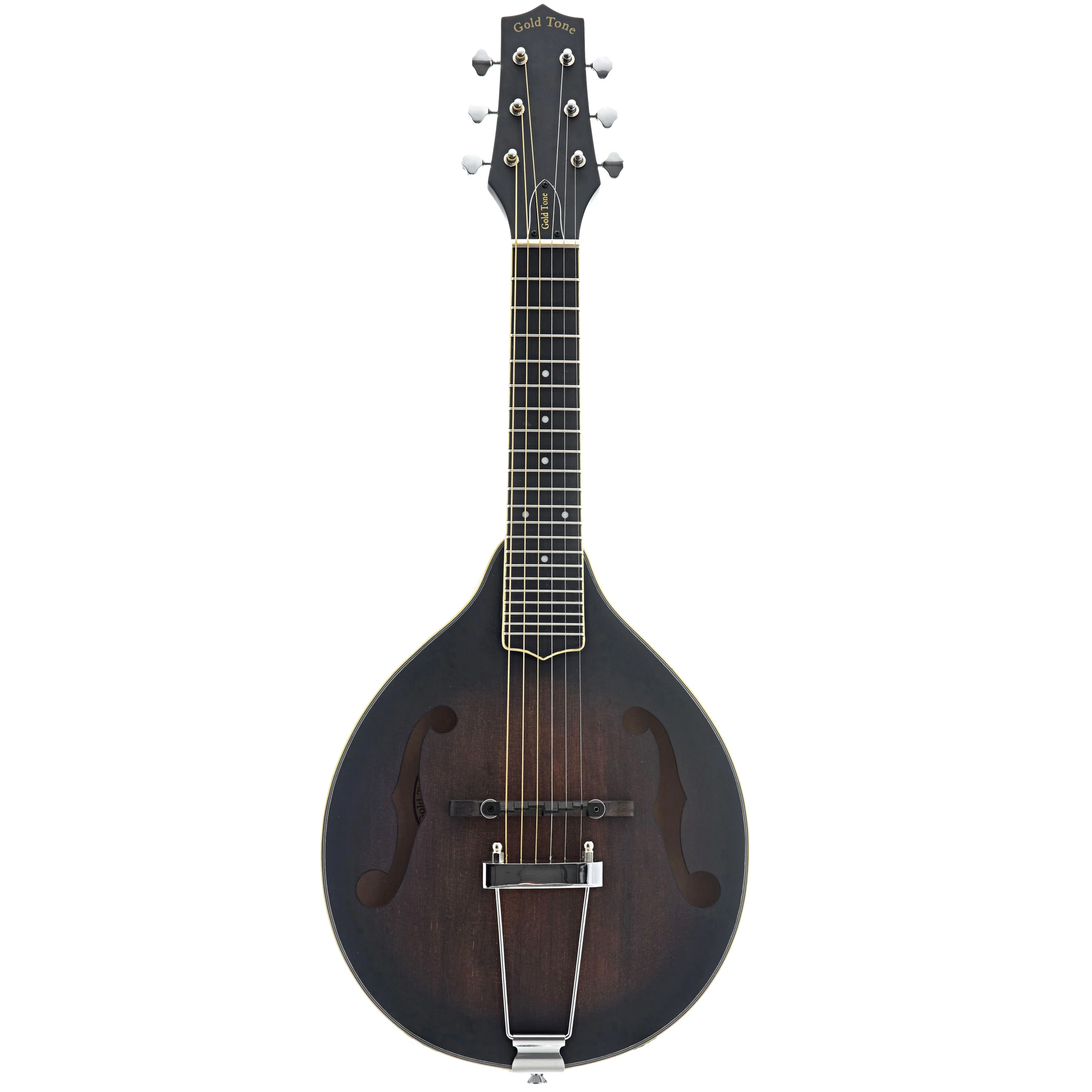 Gold Tone A-6 Manditar & Gigbag - Image 14
