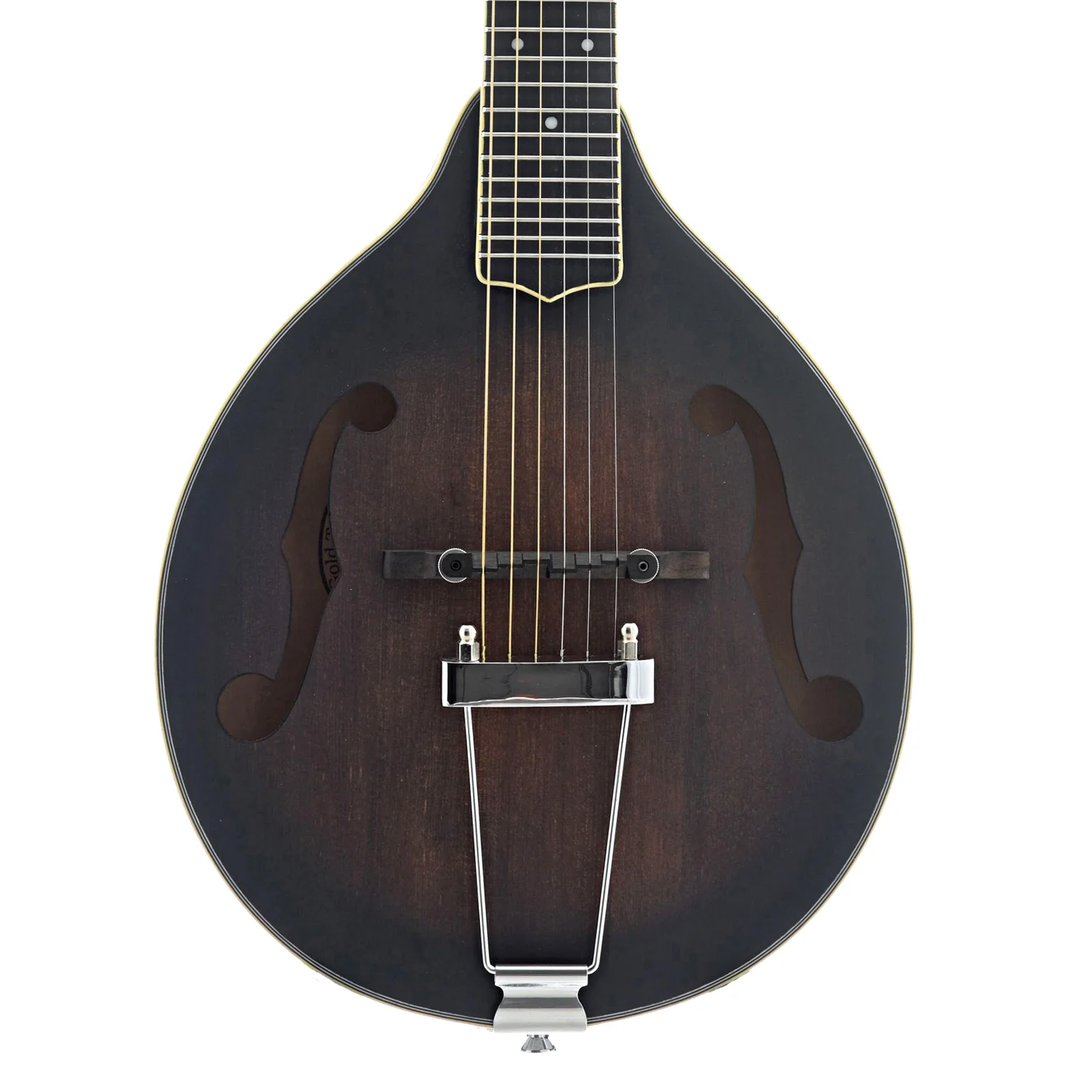 Gold Tone A-6 Manditar & Gigbag - Image 2