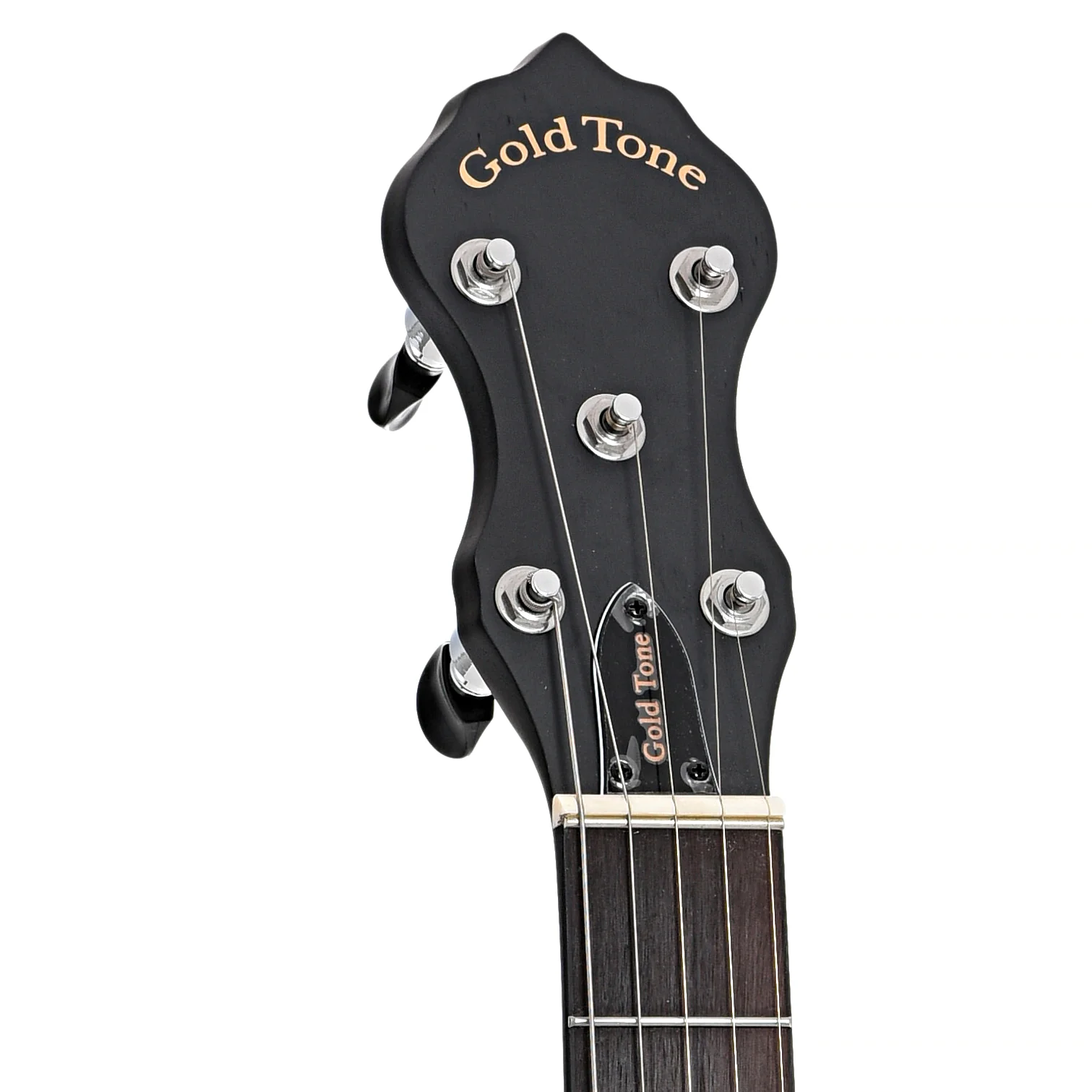 Gold Tone AC-5+1S "Lojo" Openback Banjo & Gigbag, Scooped Fretboard - Image 8