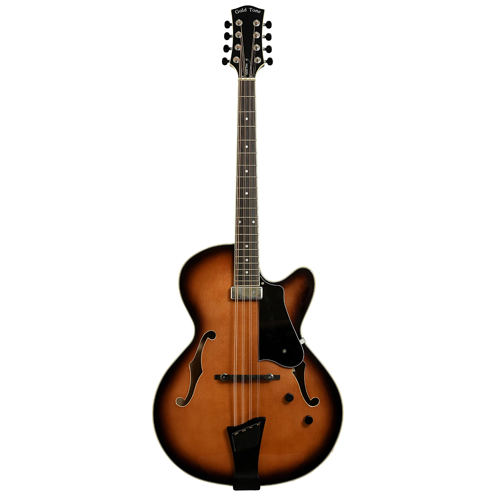 Gold Tone Acoustic-Electric Mandocello (2025) - Image 13