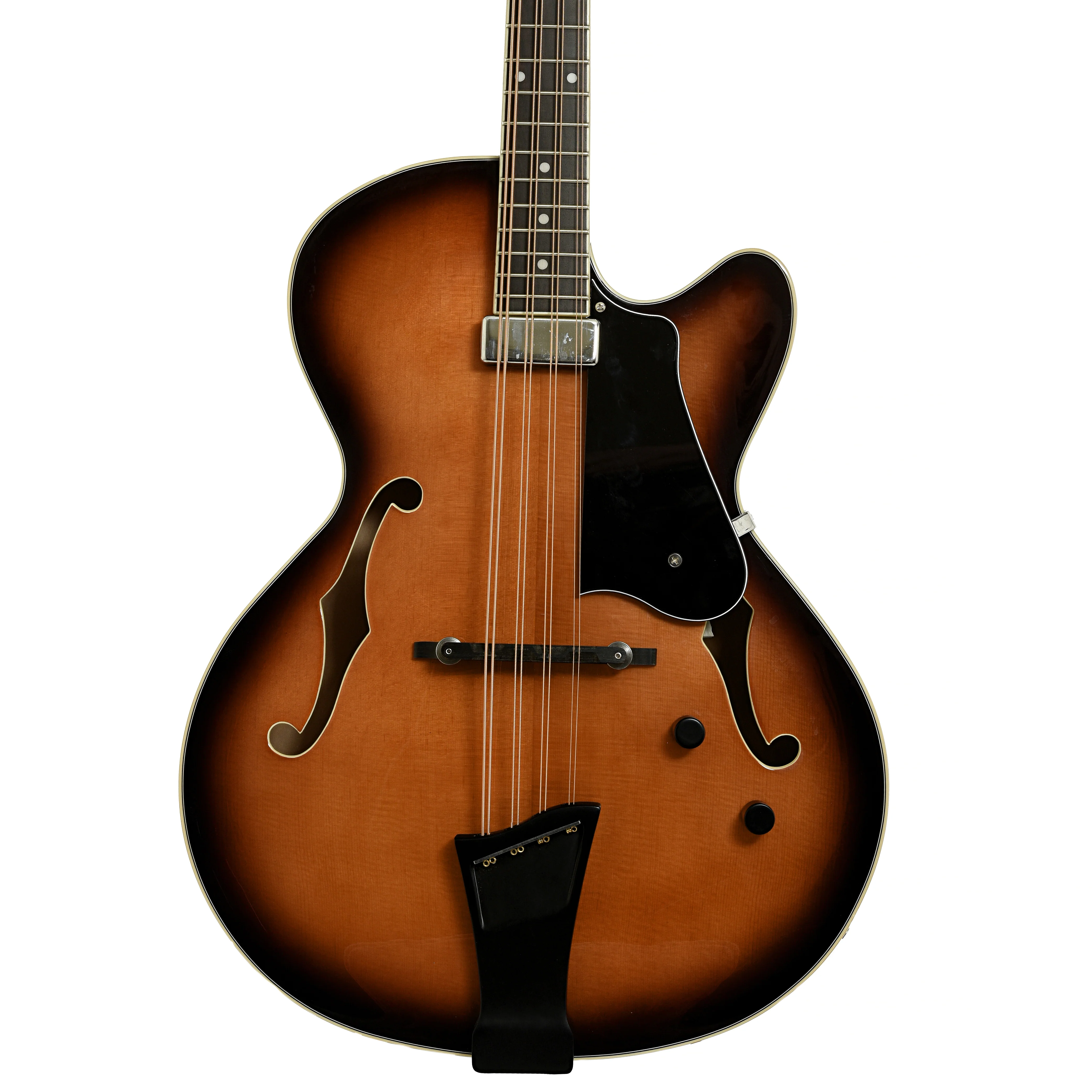 Gold Tone Acoustic-Electric Mandocello (2025) - Image 2