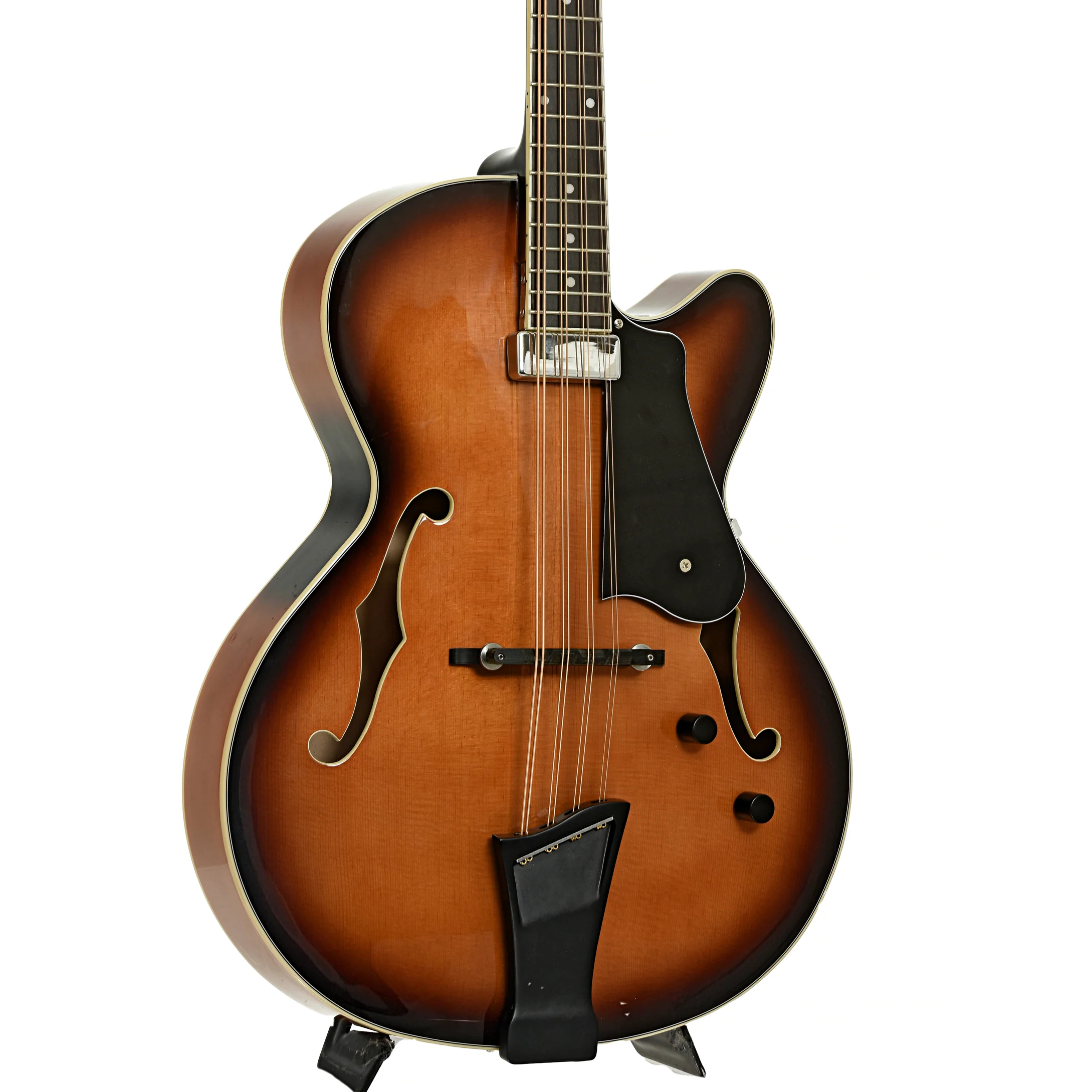 Gold Tone Acoustic-Electric Mandocello (2025) - Image 4