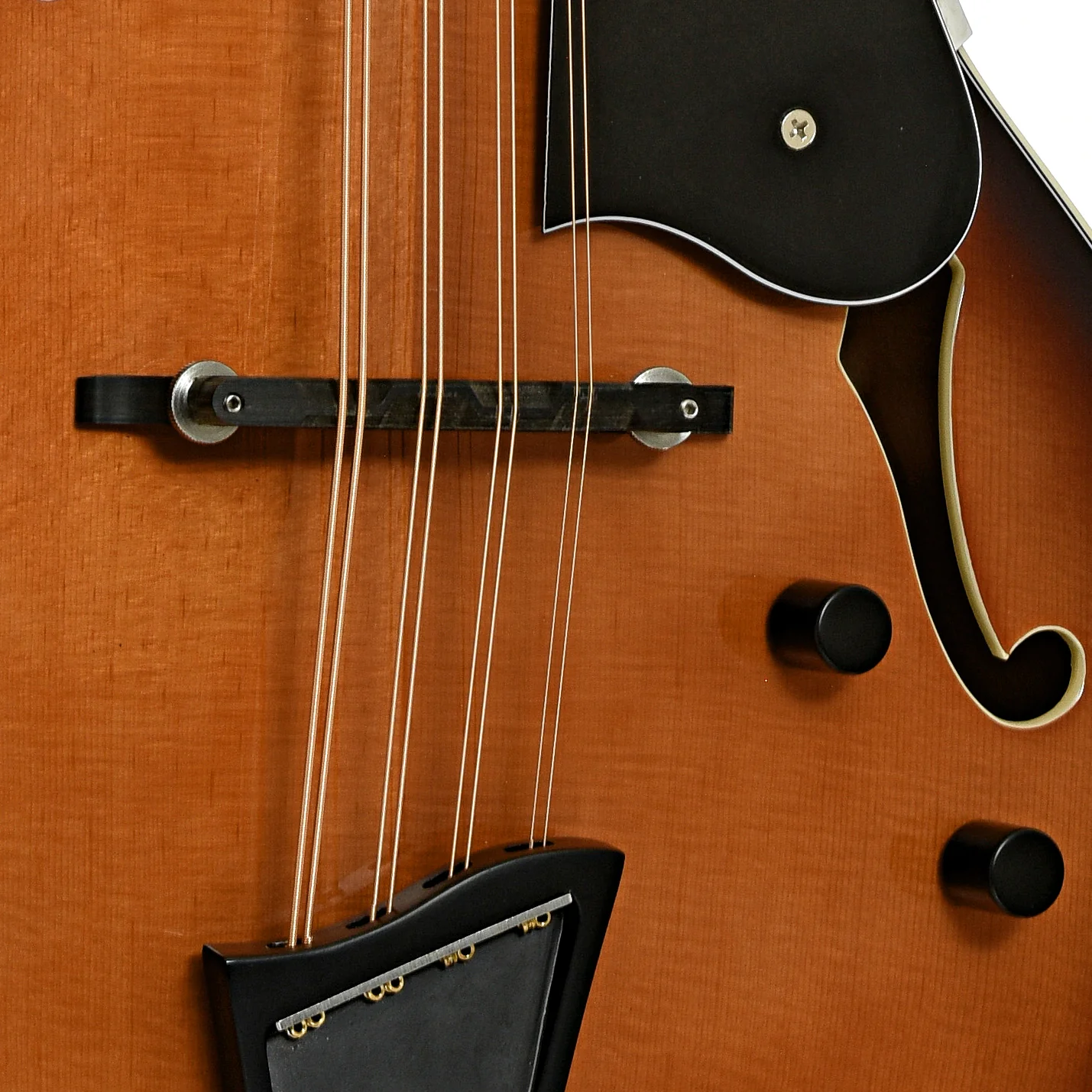 Gold Tone Acoustic-Electric Mandocello (2025) - Image 5