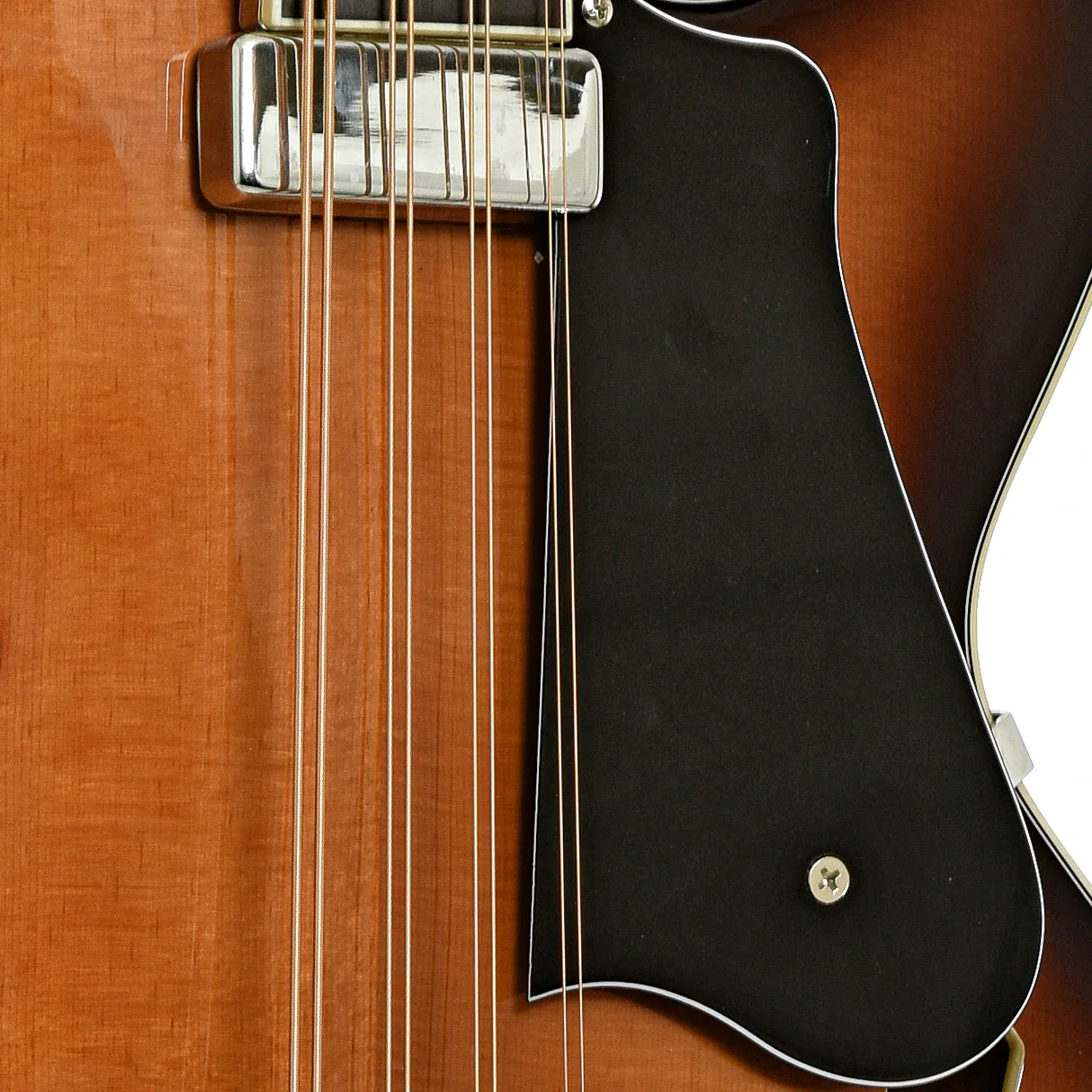 Gold Tone Acoustic-Electric Mandocello (2025) - Image 6