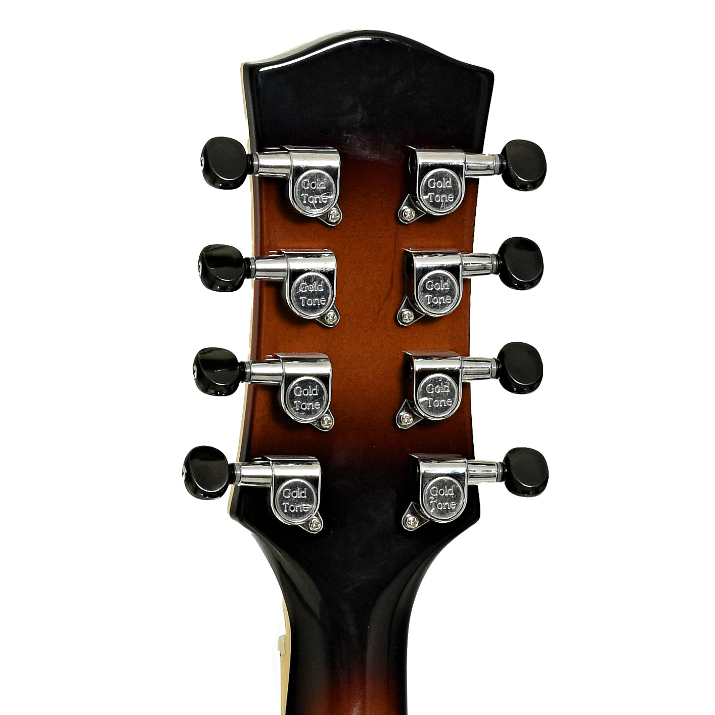 Gold Tone Acoustic-Electric Mandocello (2025) - Image 9