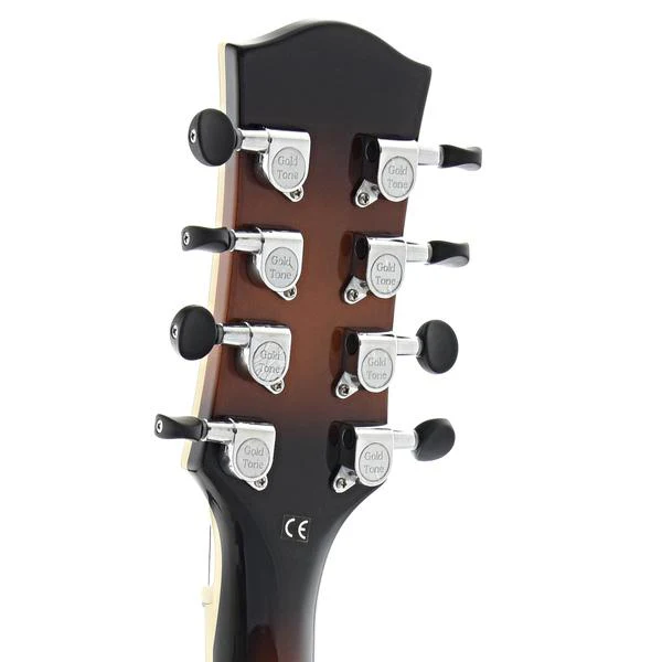 Gold Tone Acoustic-Electric Mandocello & Case - Image 10