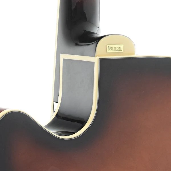 Gold Tone Acoustic-Electric Mandocello & Case - Image 11