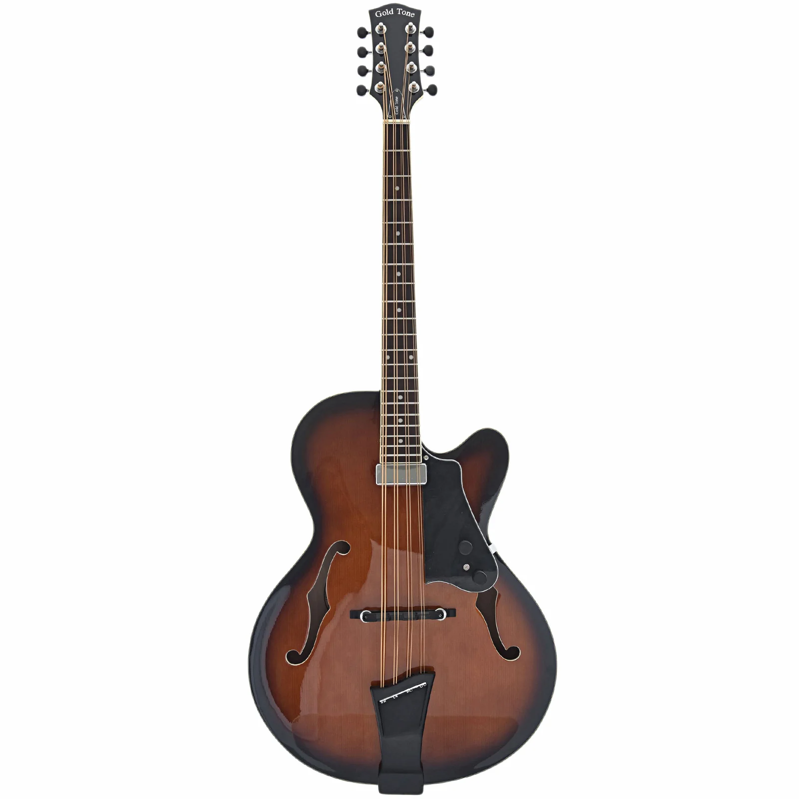 Gold Tone Acoustic-Electric Mandocello & Case - Image 15