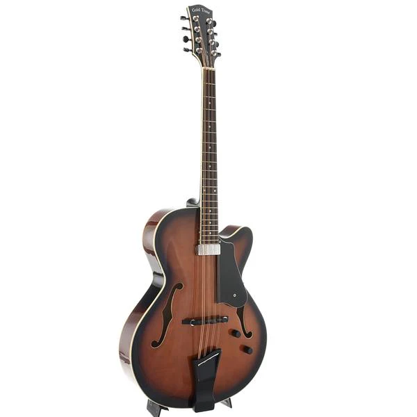Gold Tone Acoustic-Electric Mandocello & Case - Image 4