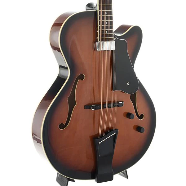 Gold Tone Acoustic-Electric Mandocello & Case - Image 5