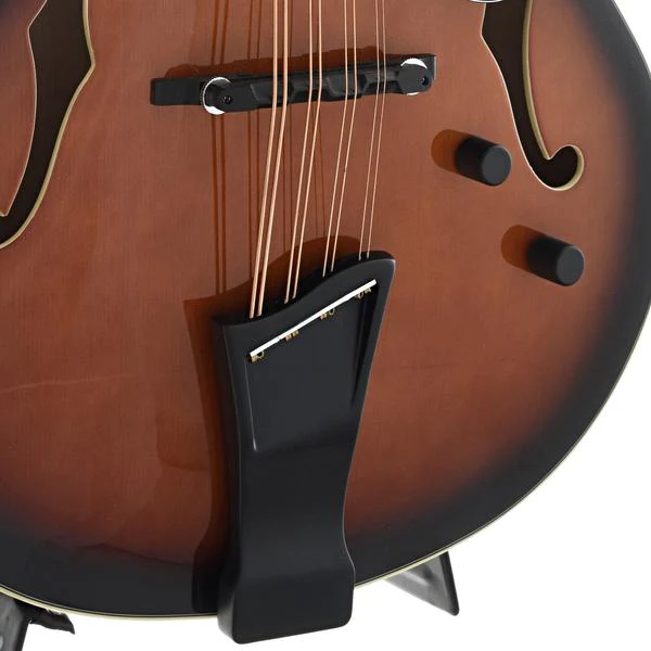 Gold Tone Acoustic-Electric Mandocello & Case - Image 6