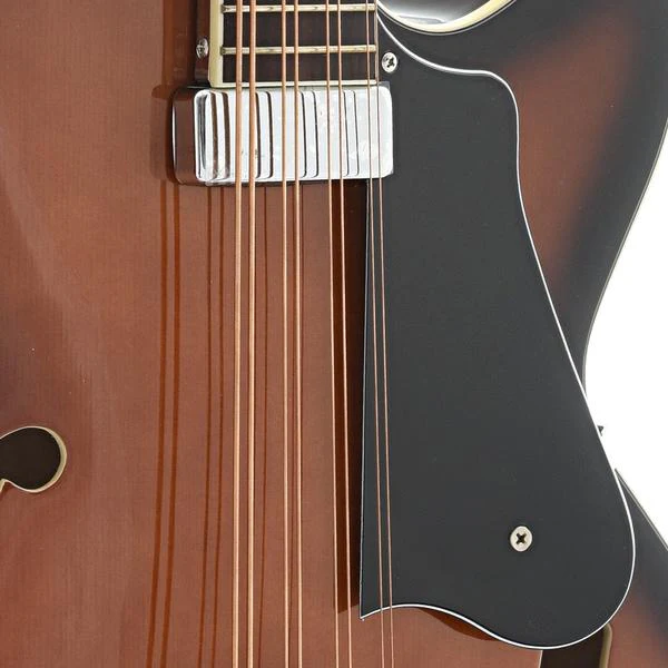 Gold Tone Acoustic-Electric Mandocello & Case - Image 7