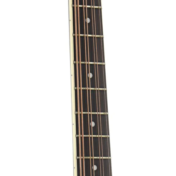 Gold Tone Acoustic-Electric Mandocello & Case - Image 8
