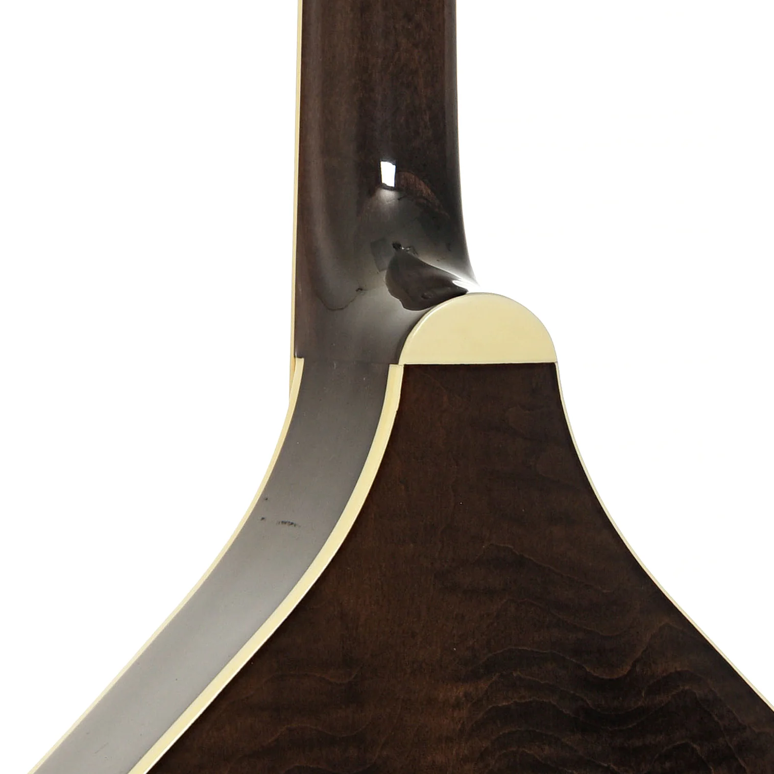 Gold Tone Banjola+ with Pickup & Gigbag, Fully Fretted - Image 11