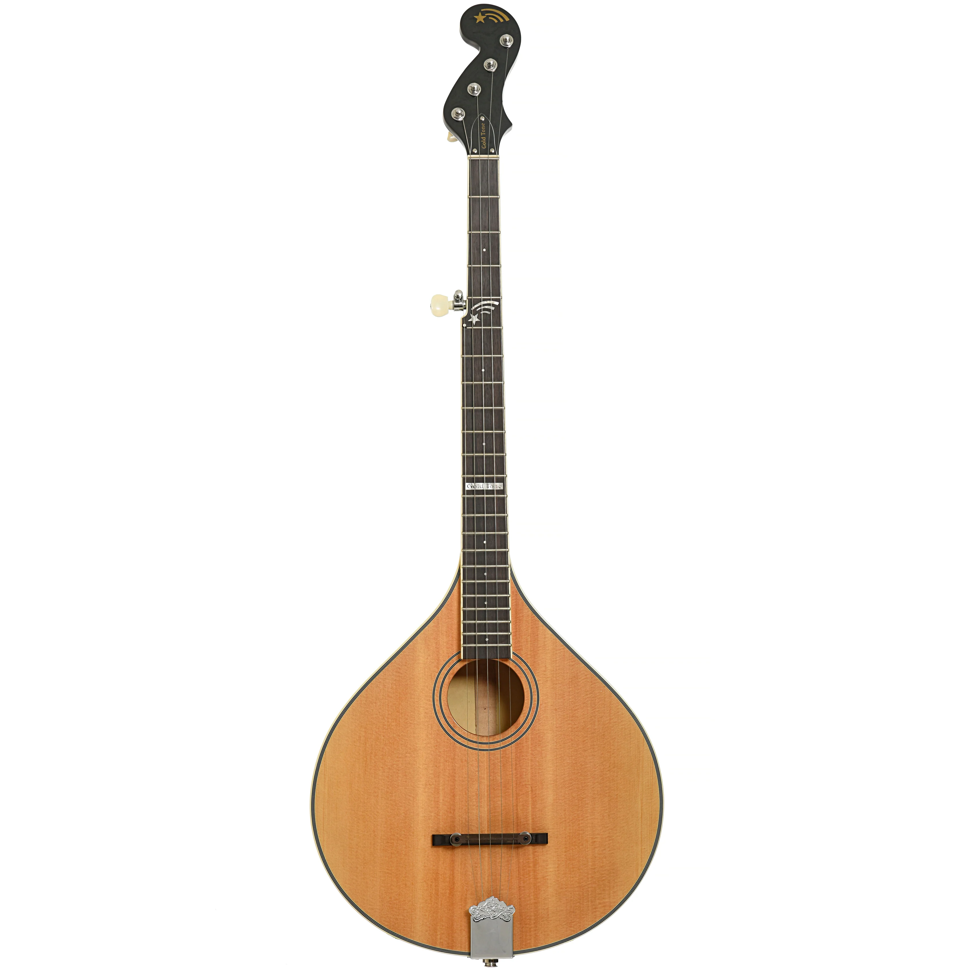 Gold Tone Banjola+ with Pickup & Gigbag, Fully Fretted - Image 15