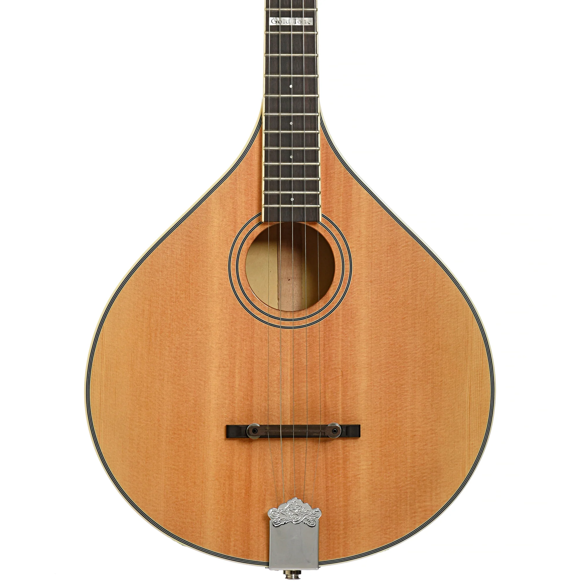 Gold Tone Banjola+ with Pickup & Gigbag, Fully Fretted - Image 2