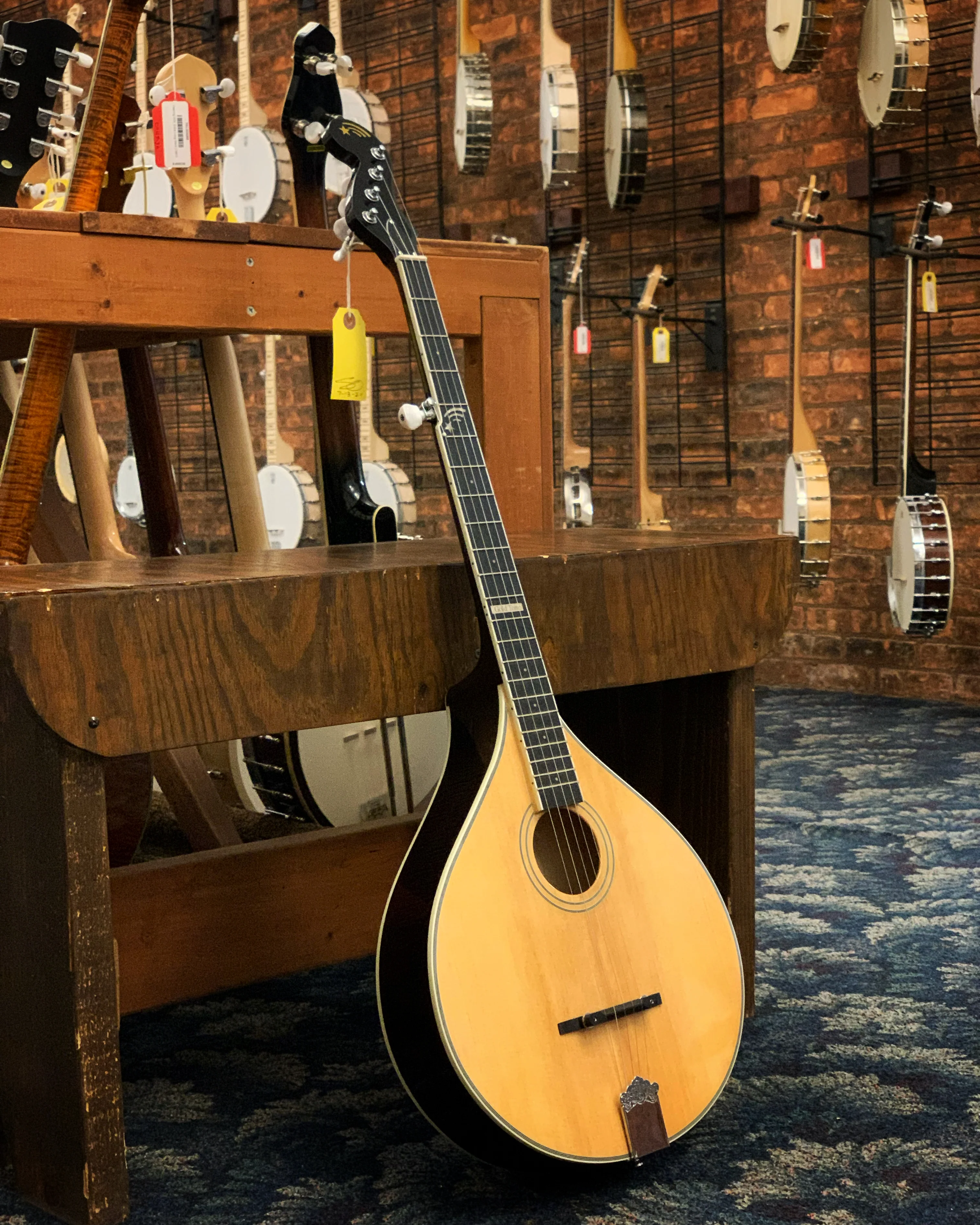 Gold Tone Banjola+ with Pickup & Gigbag, Fully Fretted - Image 3