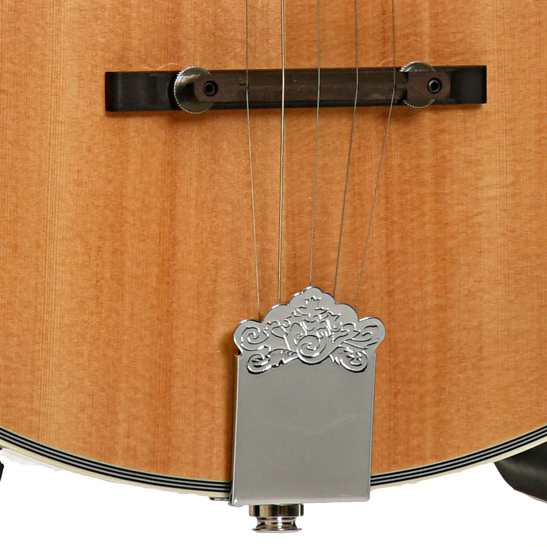 Gold Tone Banjola+ with Pickup & Gigbag, Fully Fretted - Image 6