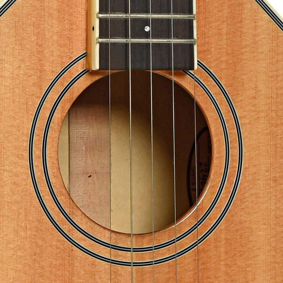 Gold Tone Banjola+ with Pickup & Gigbag, Fully Fretted - Image 7
