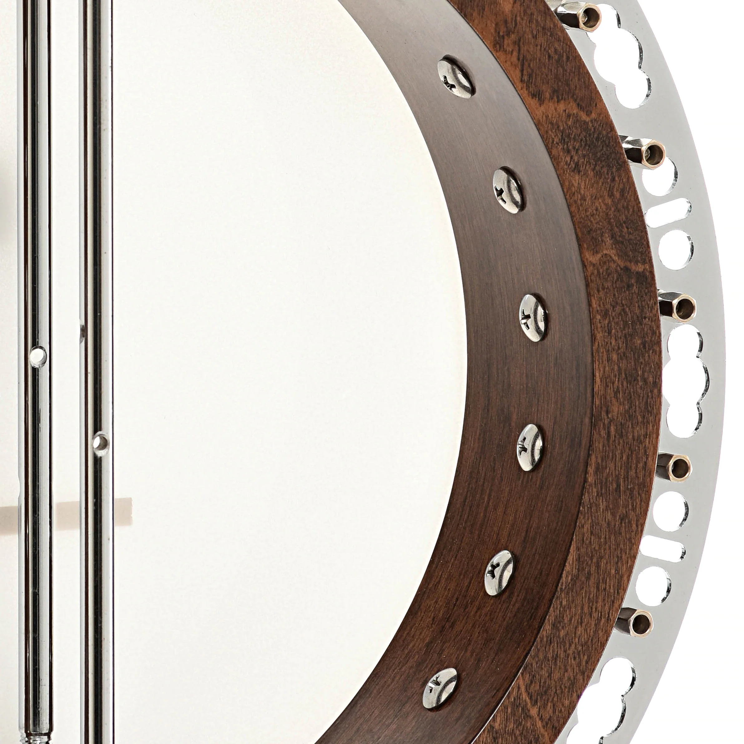 Gold Tone BG-150F 5-String Resonator Banjo (2022) - Image 12