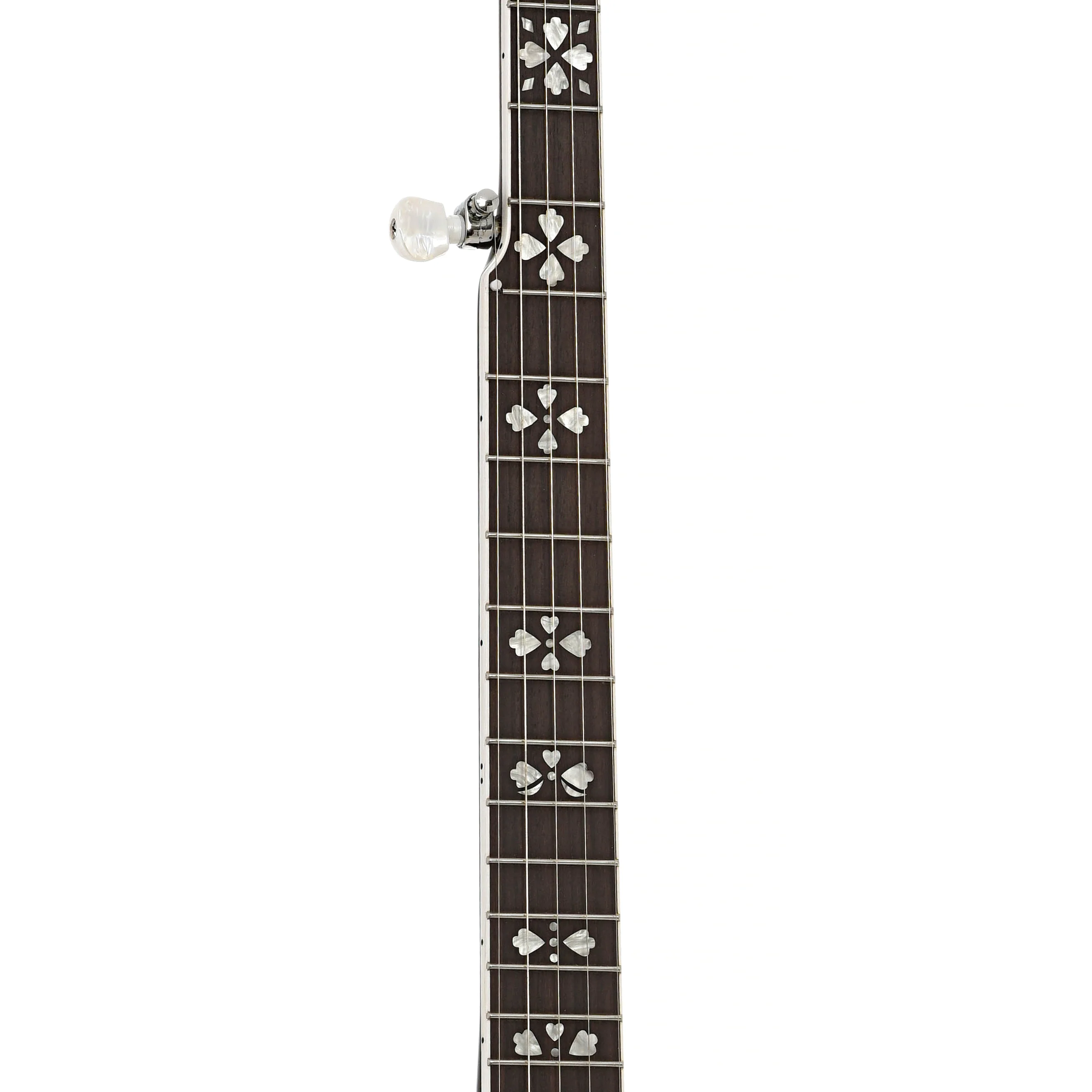 Gold Tone BG-150F 5-String Resonator Banjo (2022) - Image 8