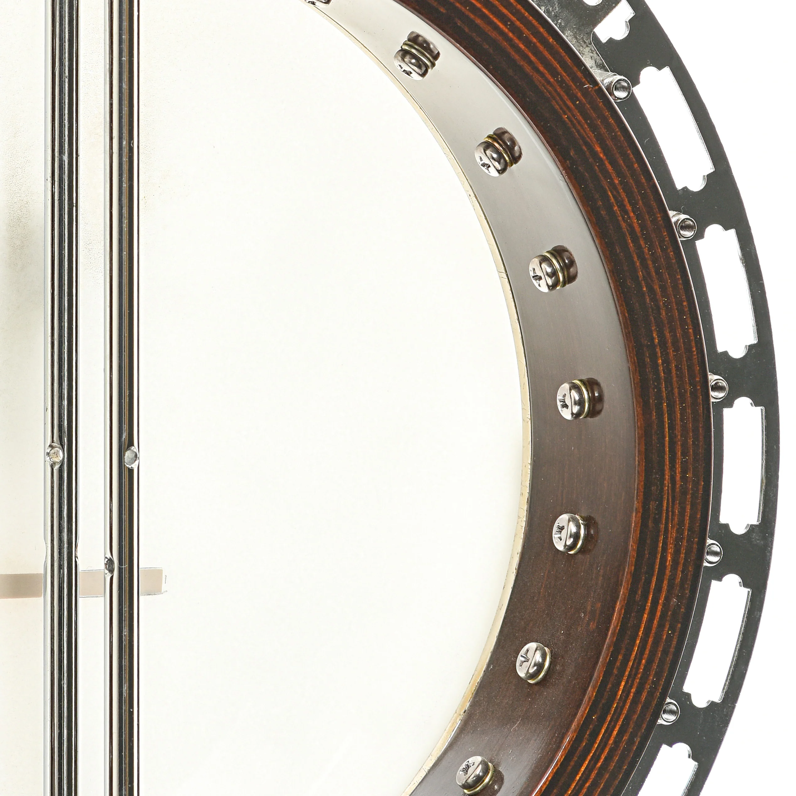 Gold Tone BG-250F Bluegrass Special Resonator Banjo (2001) - Image 10