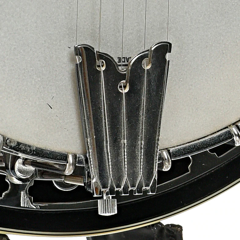 Gold Tone BG-250F Bluegrass Special Resonator Banjo (2001) - Image 3