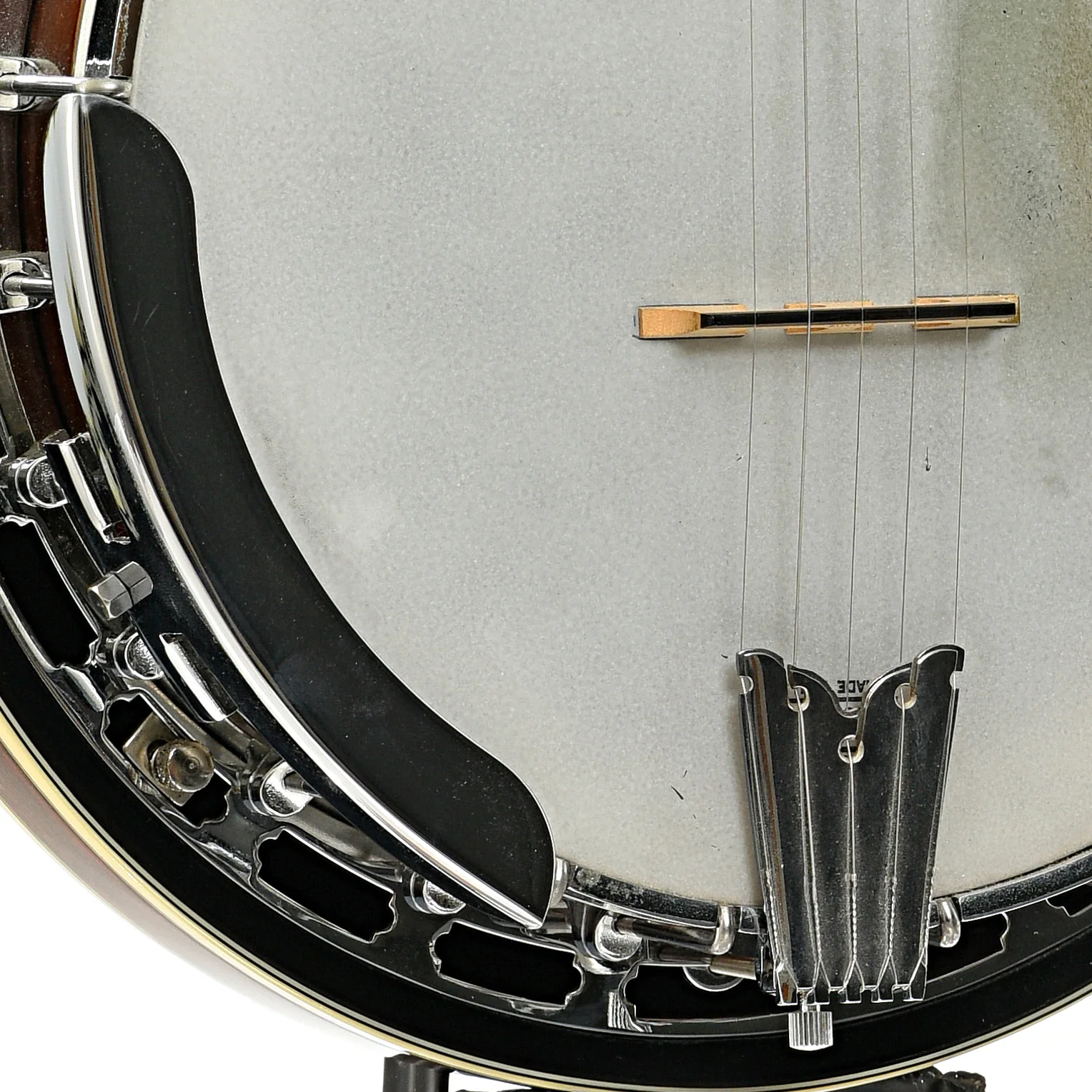 Gold Tone BG-250F Bluegrass Special Resonator Banjo (2001) - Image 4