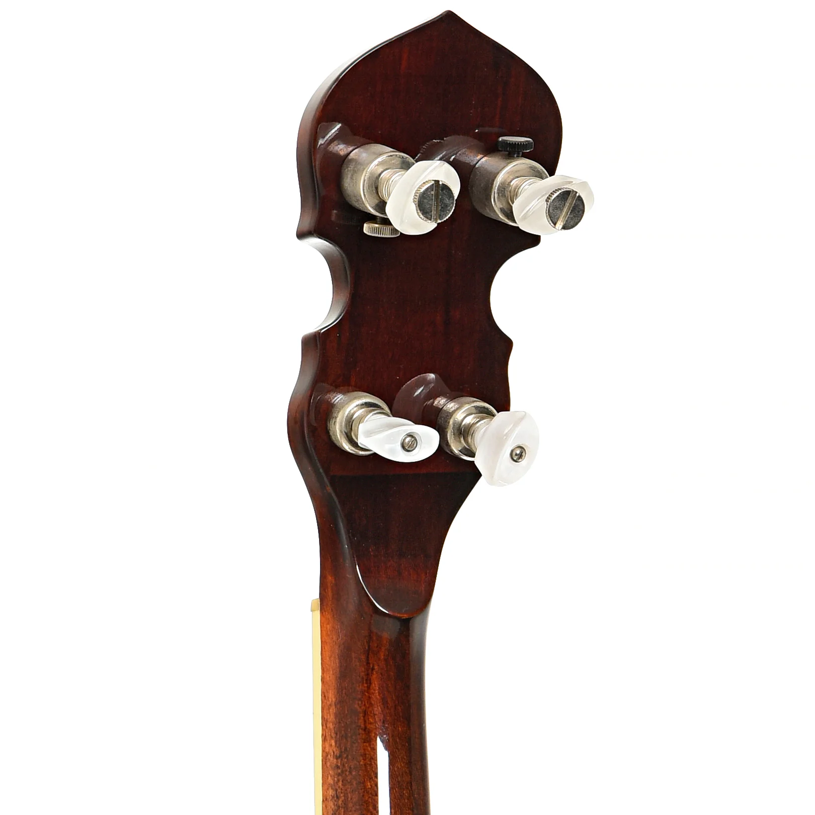 Gold Tone BG-250F Bluegrass Special Resonator Banjo (2001) - Image 8
