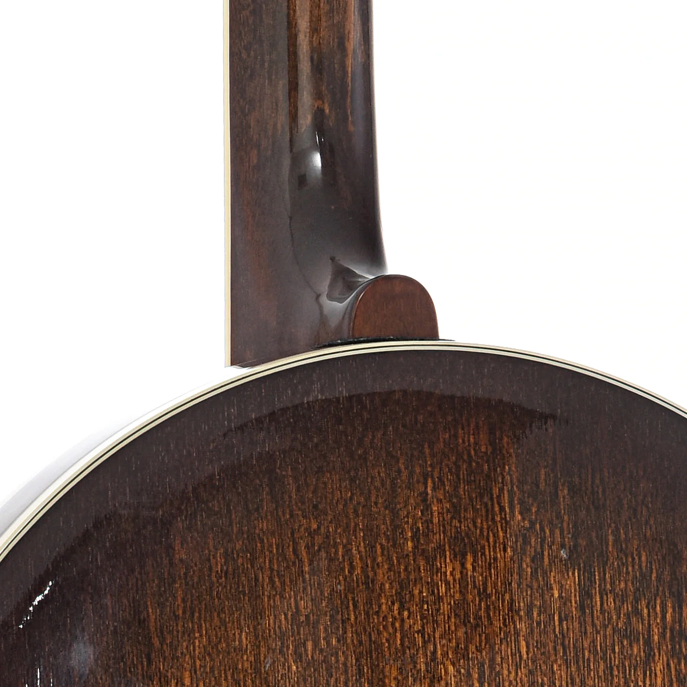 Gold Tone BG-250F Bluegrass Special Resonator Banjo (c.2004) - Image 12