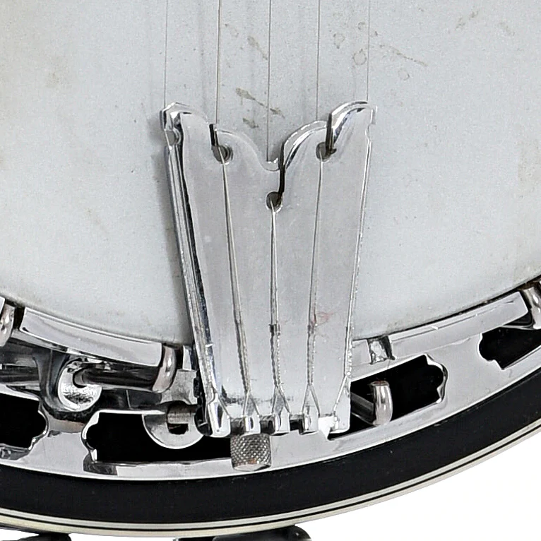 Gold Tone BG-250F Bluegrass Special Resonator Banjo (c.2004) - Image 4