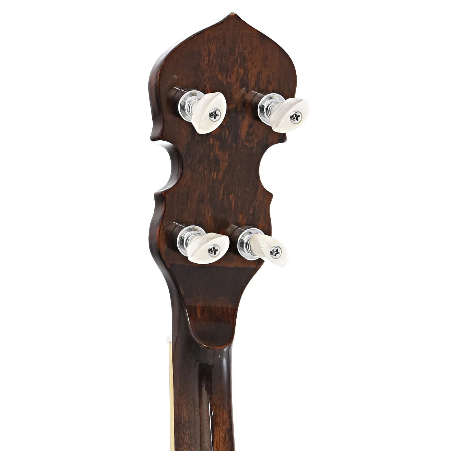 Gold Tone BG-250F Bluegrass Special Resonator Banjo (c.2004) - Image 9