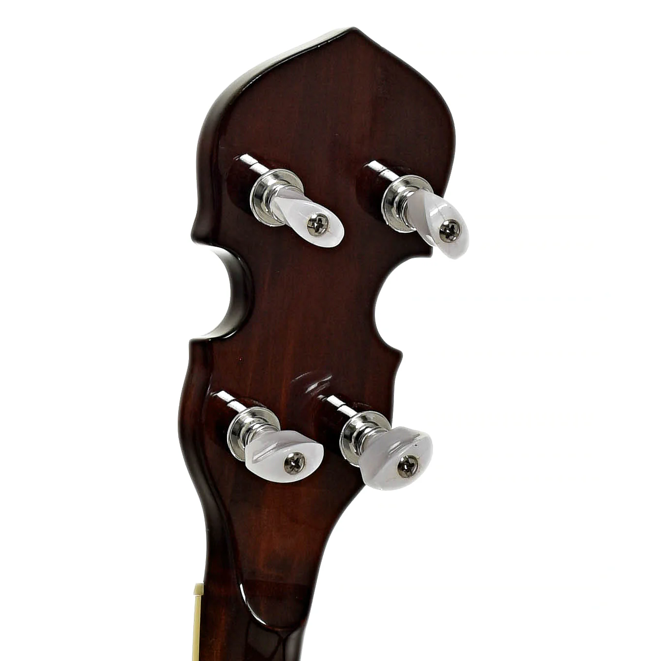 Gold Tone BG-250F Orange Blossom Resonator Banjo (2002) - Image 11