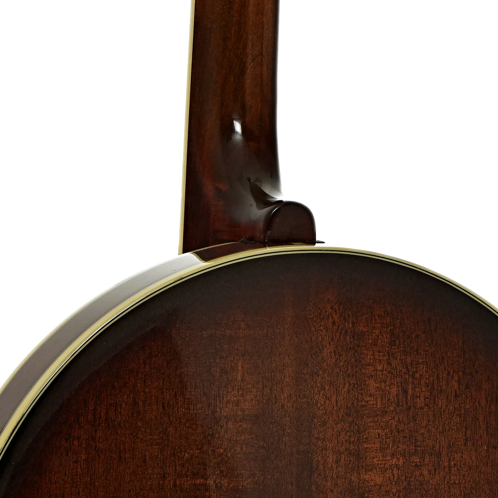 Gold Tone BG-250F Orange Blossom Resonator Banjo (2002) - Image 12