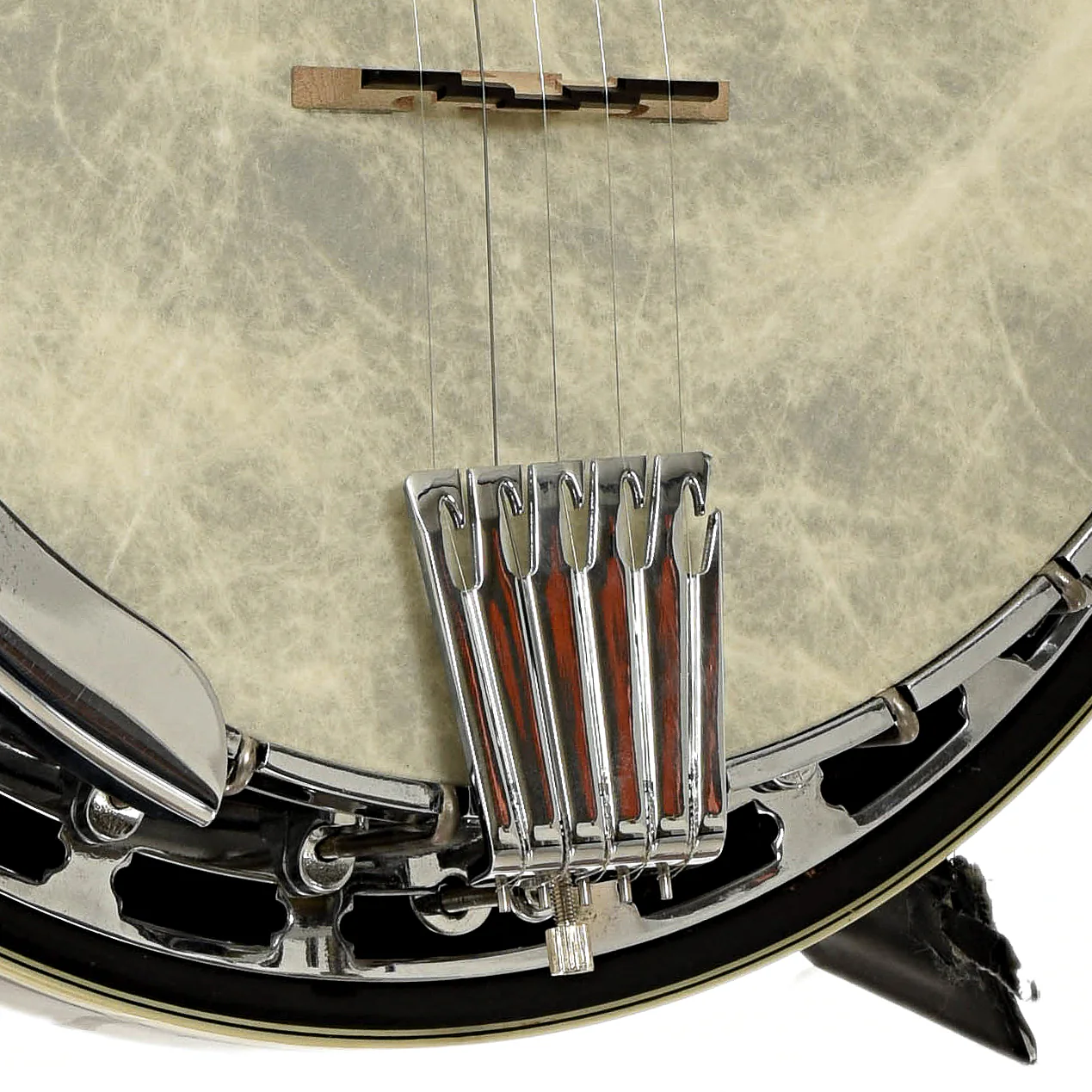 Gold Tone BG-250F Orange Blossom Resonator Banjo (2002) - Image 4