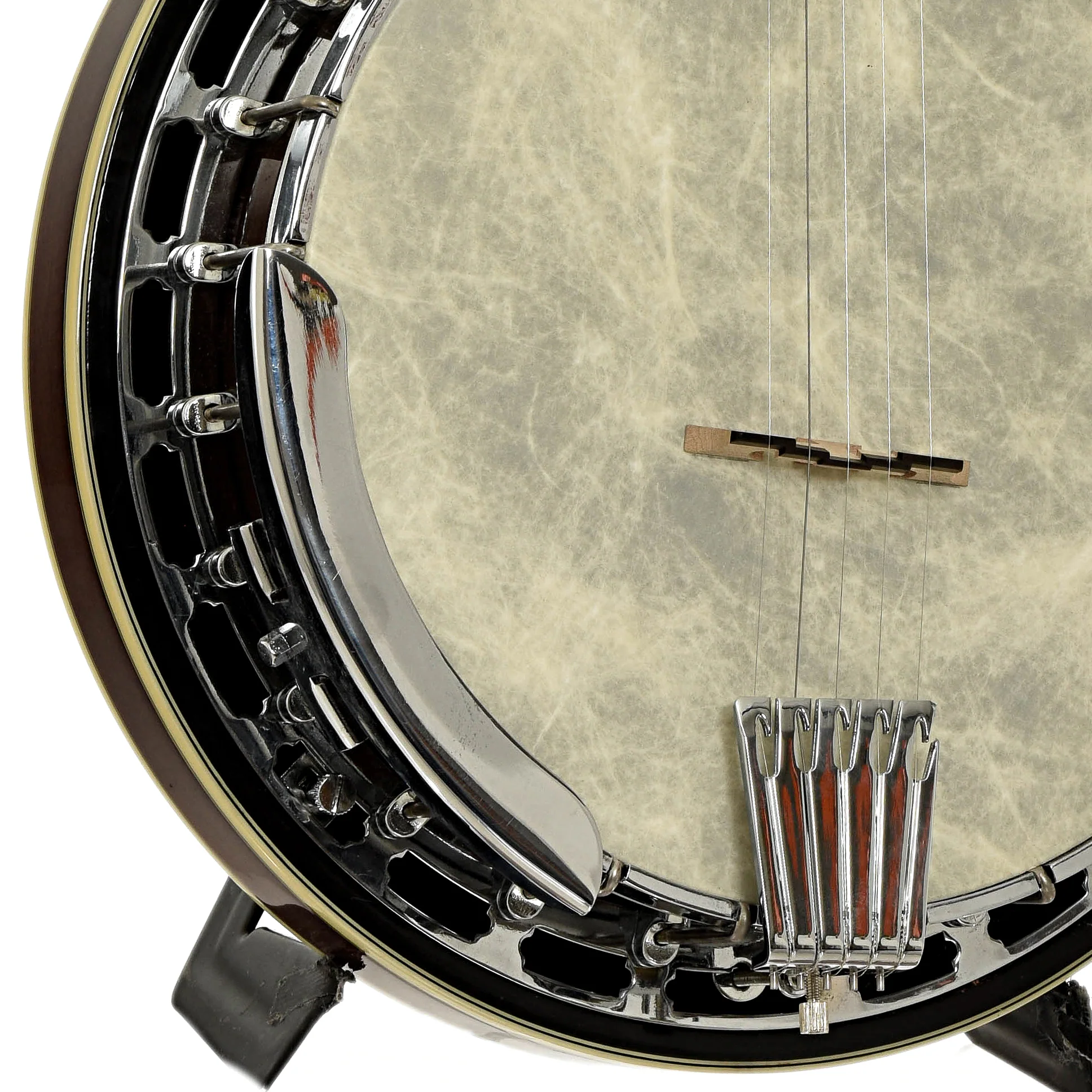 Gold Tone BG-250F Orange Blossom Resonator Banjo (2002) - Image 5