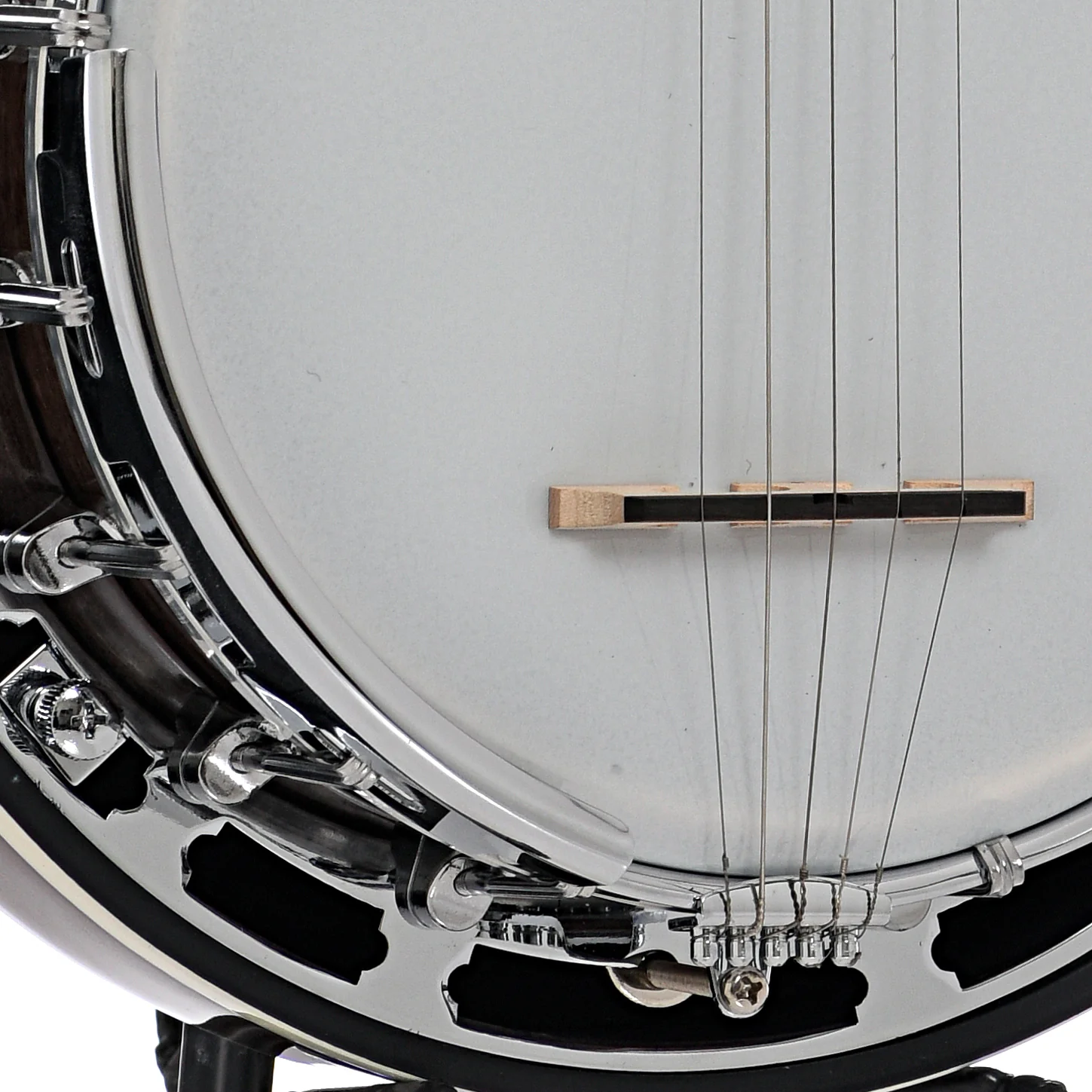 Gold Tone BG-Mini Resonator Banjo & Case - Image 5