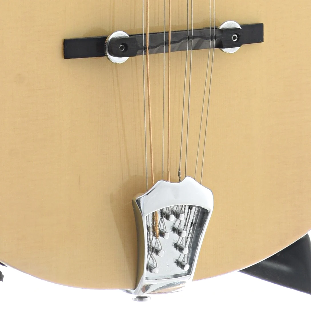 Gold Tone BZ-500 Acoustic-Electric Bouzouki & Case - Image 5