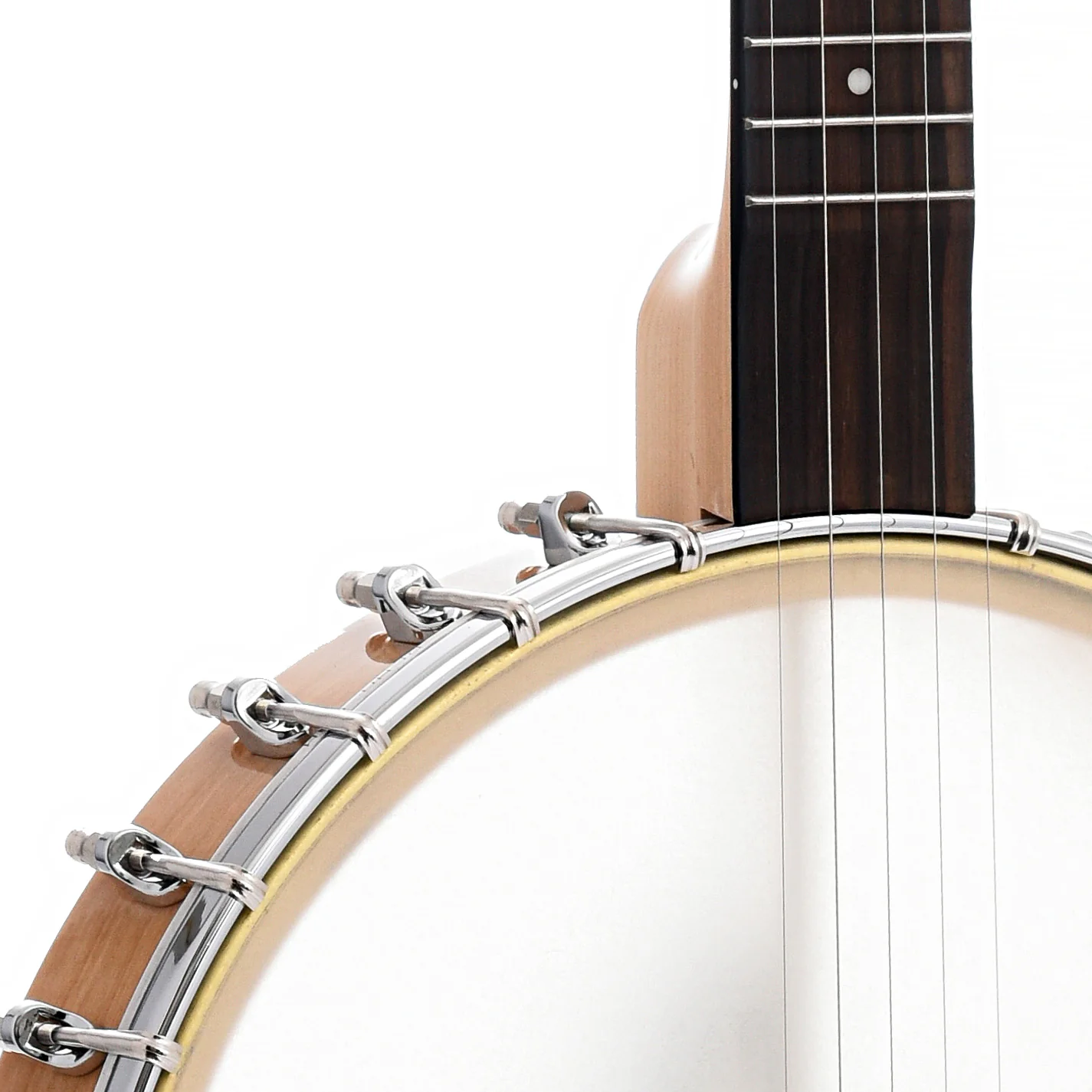 Gold Tone CC-Carlin 12in Openback Banjo & Gigbag with Planetary Tuners - Image 4