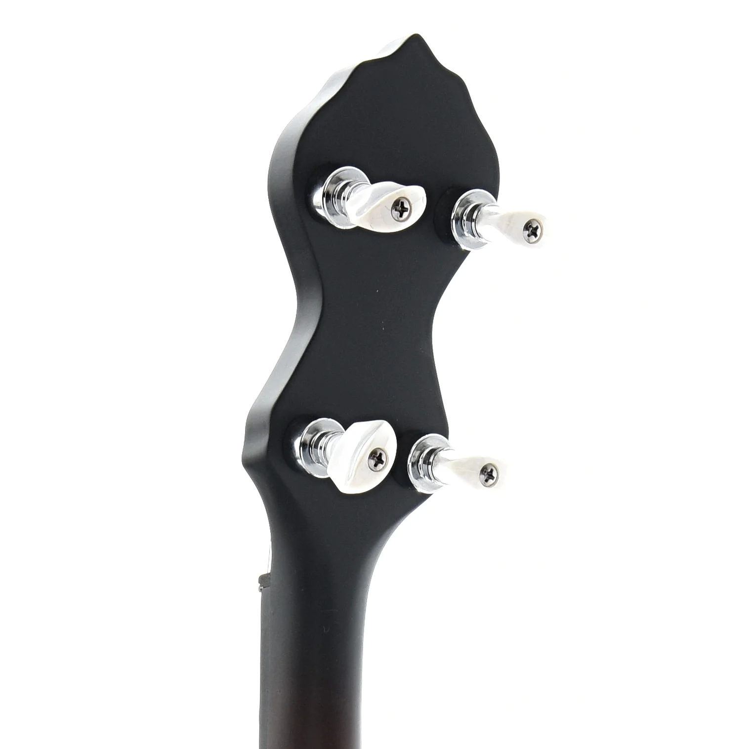 Gold Tone CC-OT Openback Banjo Package - Image 7