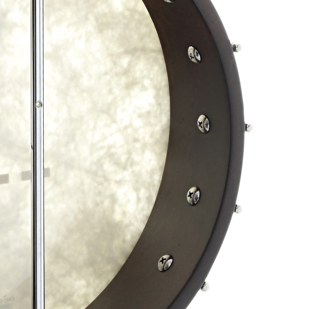 Gold Tone CC-OT Openback Banjo Package - Image 8