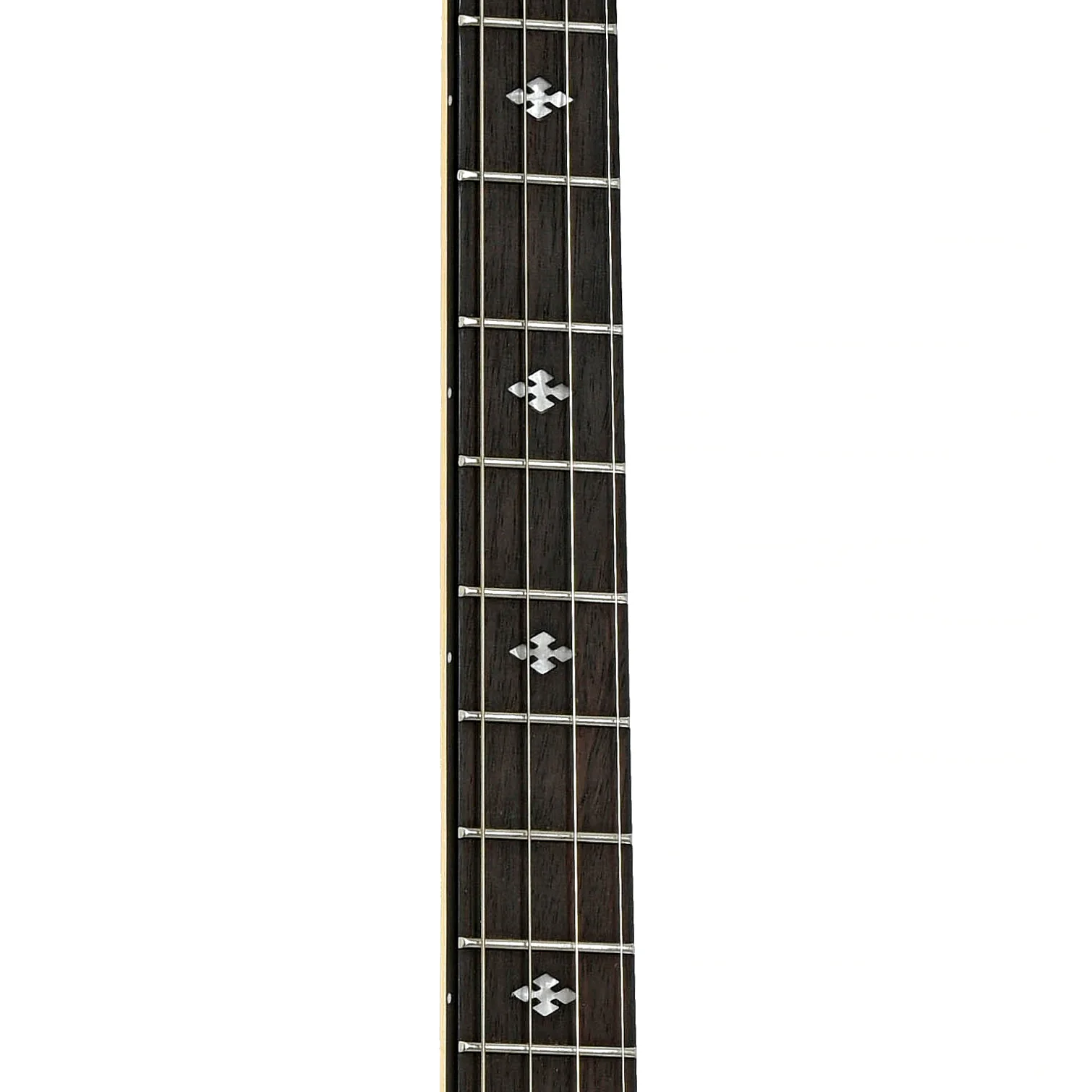 Gold Tone CC-Tenor 19-Fret Tenor Resonator Banjo - Image 8