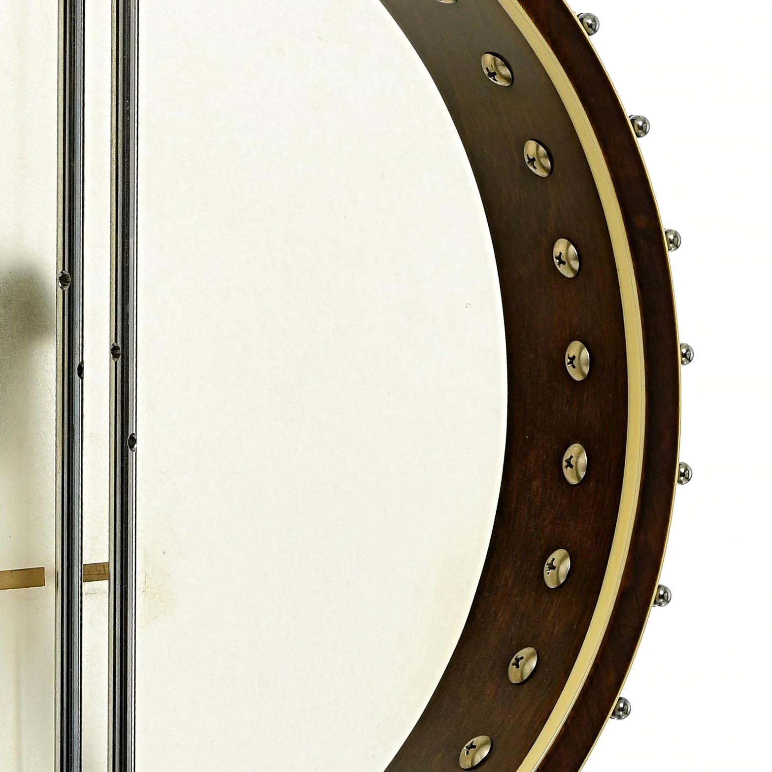 Gold Tone CEB-4 Cello Banjo (2019) - Image 10