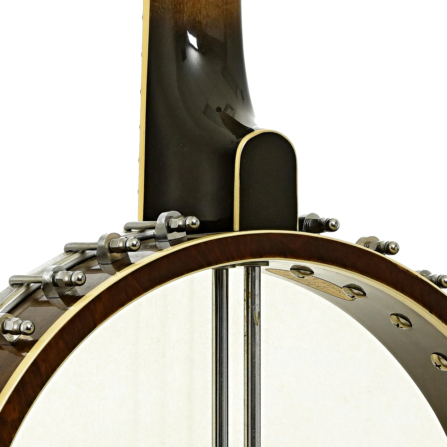 Gold Tone CEB-4 Cello Banjo (2019) - Image 11